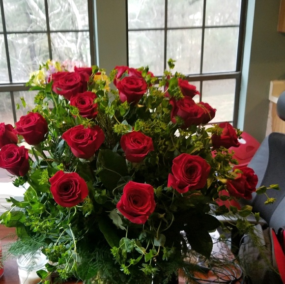 Meet your Posher, Haley - Picture 1 of 1